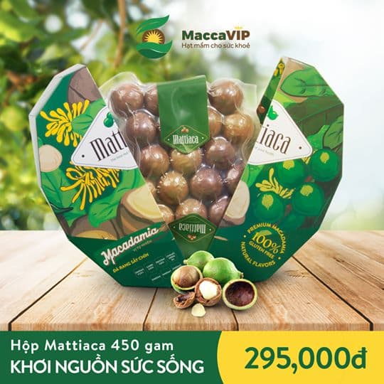 Macadamia nut _ Mattiaca